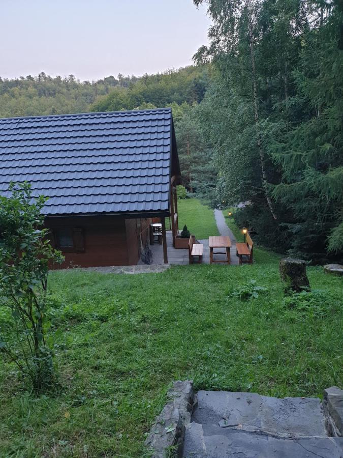 Domki Letniskowe Pod Lasem Koziniec Exterior foto